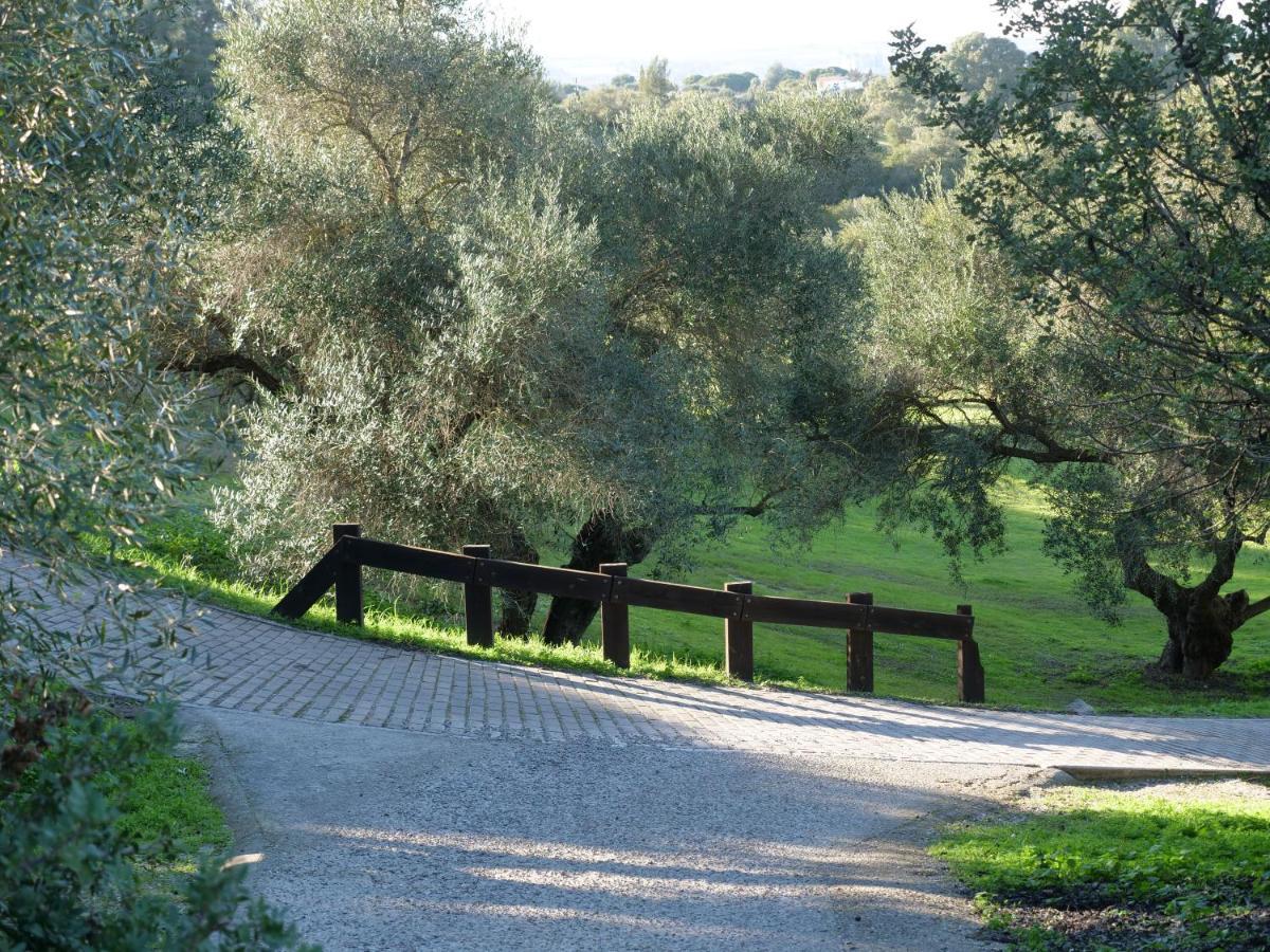 Villa Maria Montecastillo Golf 헤레스 외부 사진